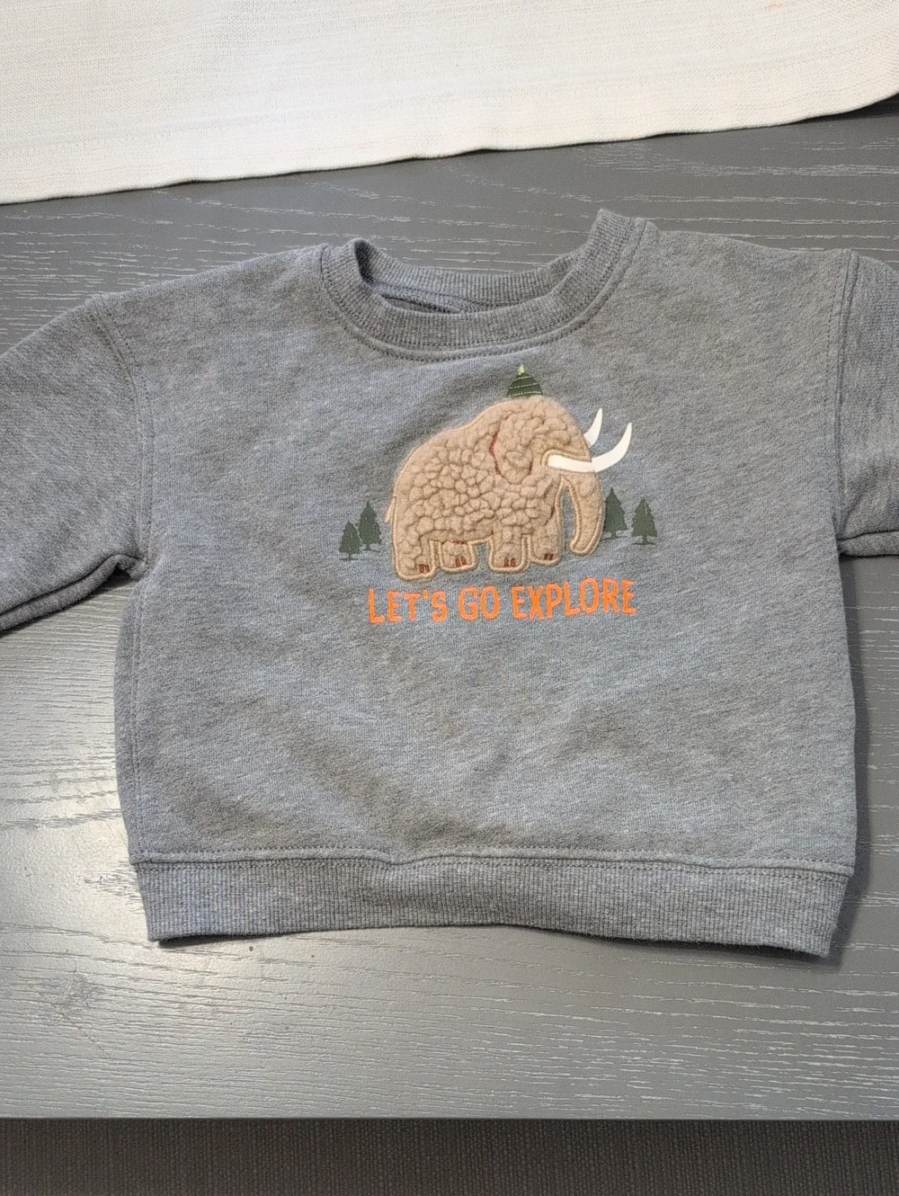 Grey Kids 'Let's Go Explore' Mammoth Sweatshirt